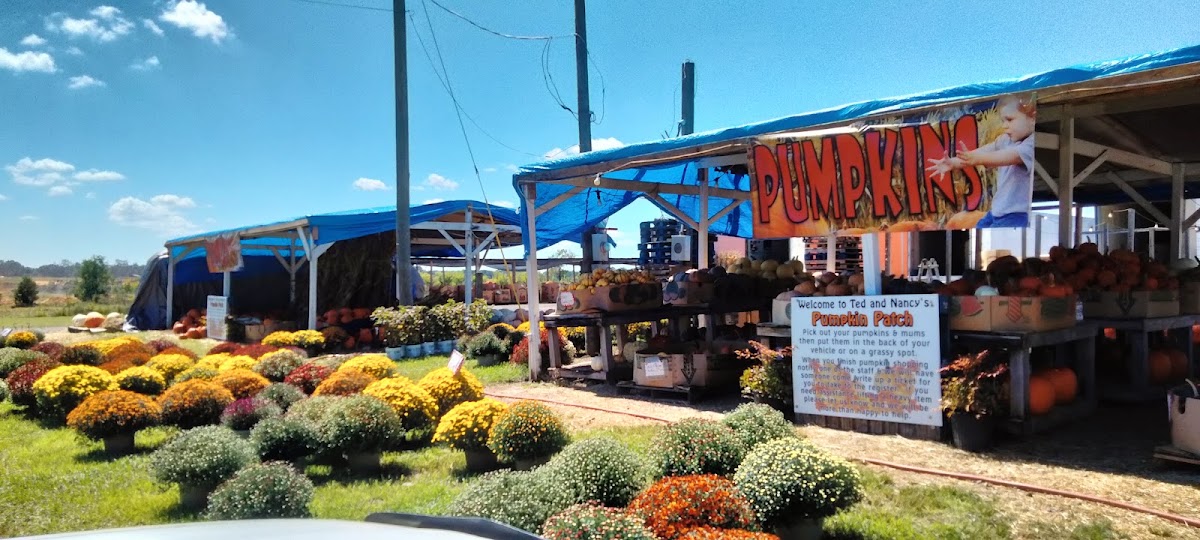 Ted’s Fruit Stand in Mobile, Alabama