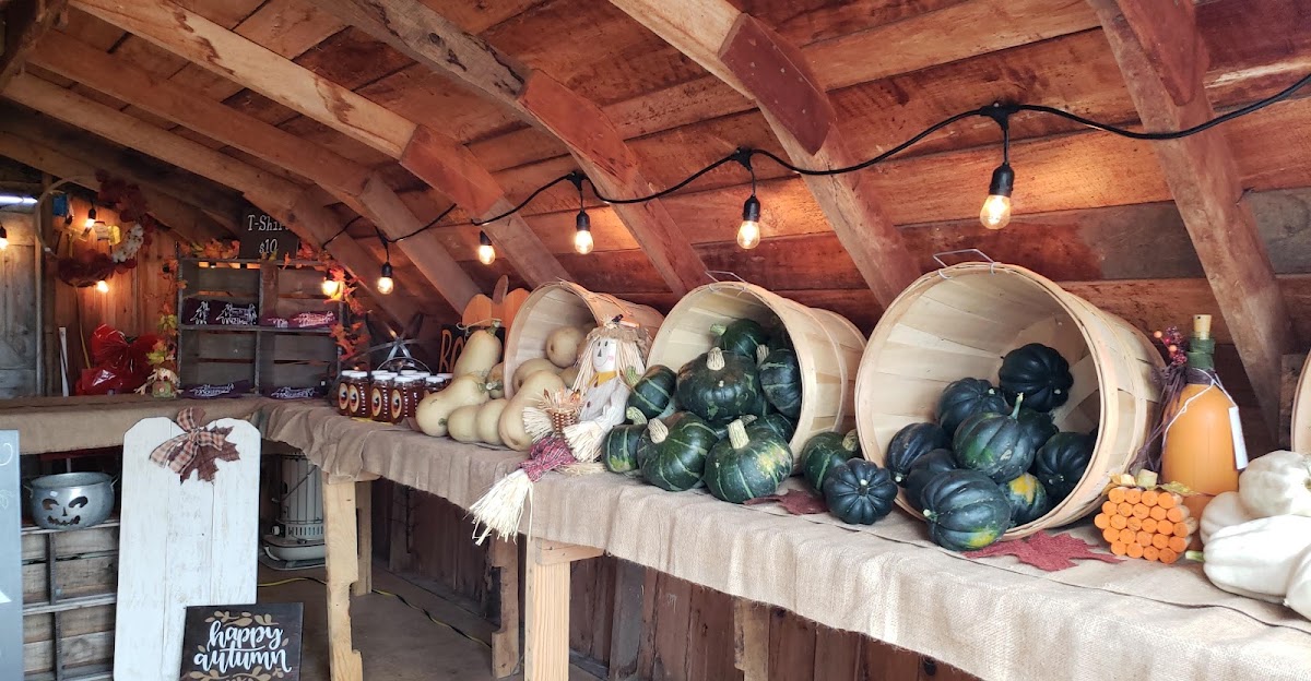 The Bushel Basket Farm Stand in Springville, Iowa