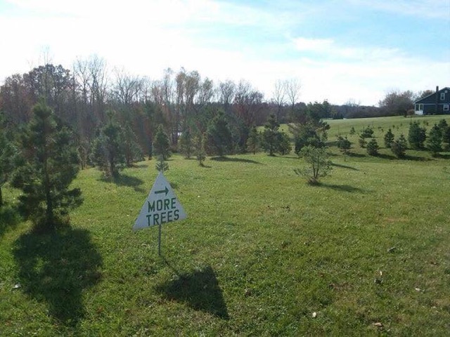 The Gallaway Tree Farm in Spencerville, Indiana
