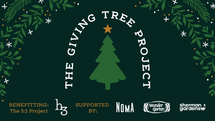 The Giving Tree Project - Christmas Tree Lot in Washington, District of Columbia