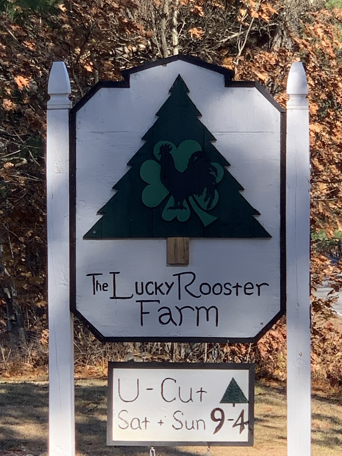 The Lucky Rooster Farm in Brookfield, New Hampshire