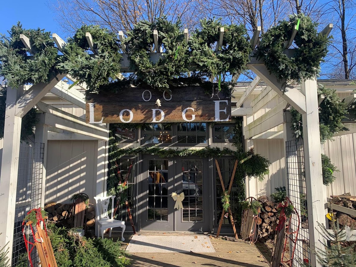 The Old Grove Christmas Tree Farm in Caledonia, Michigan