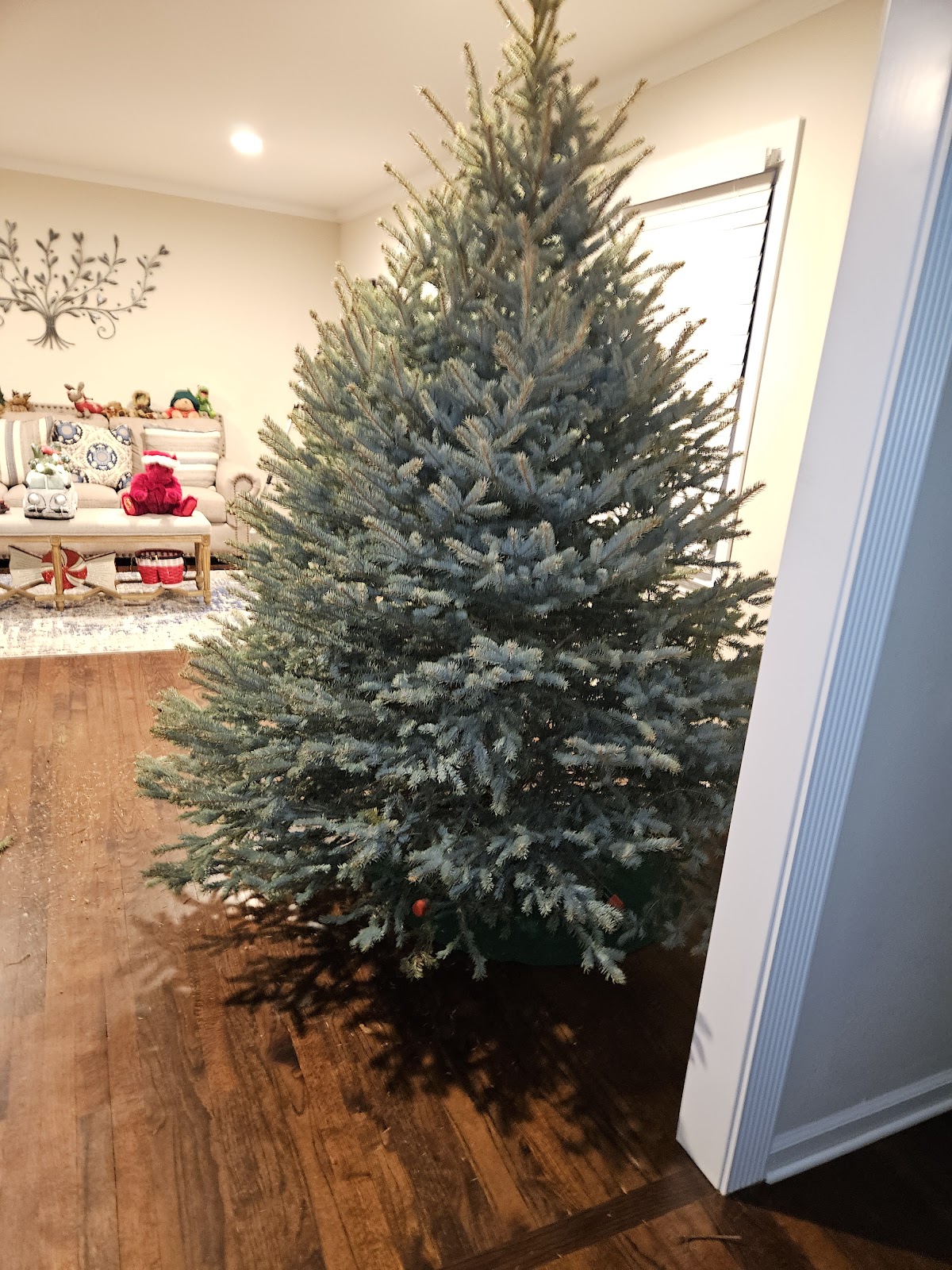 The Plut Christmas Tree Farm in Washington Township, New Jersey