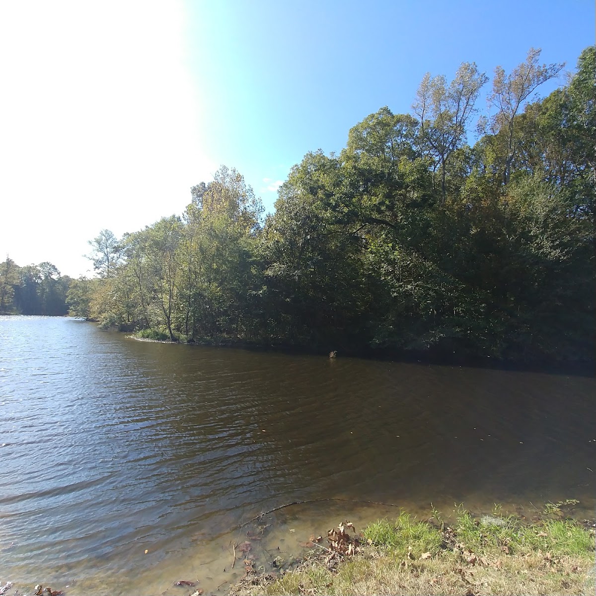 The Resting Place Retreat in Flora, Mississippi