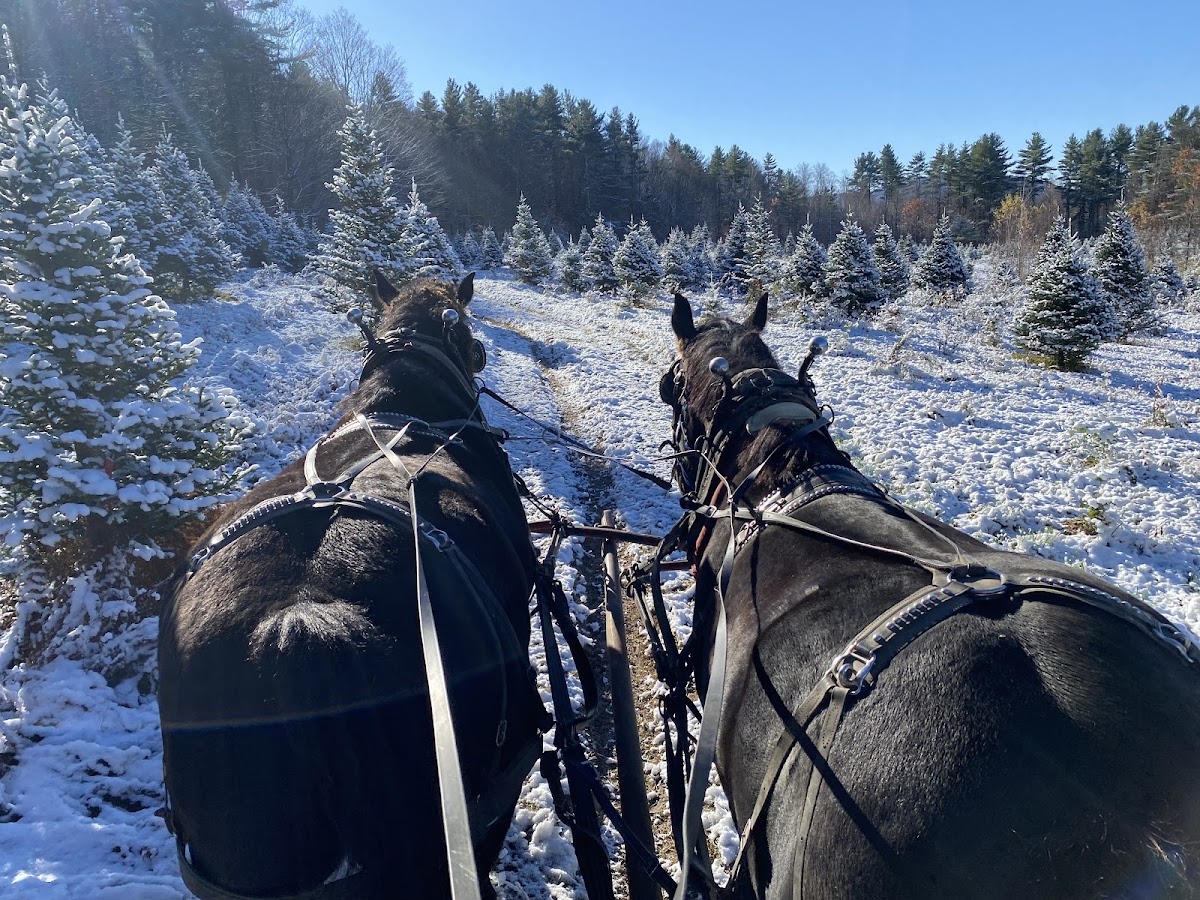 The Russell Farm in Starksboro, Vermont