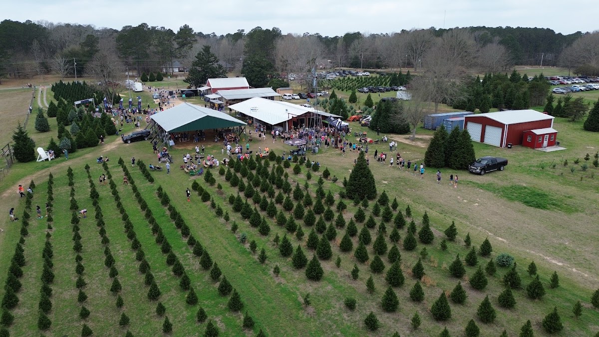 Thomley's Christmas Tree Farm in Hattiesburg, Mississippi