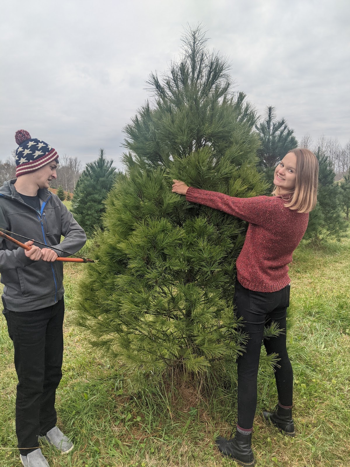 Thousand Pines Tree Farm in Baxter, Tennessee