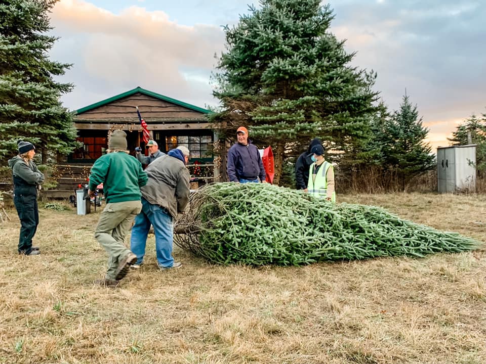 Three Sisters Tree Farm in Medusa, New York