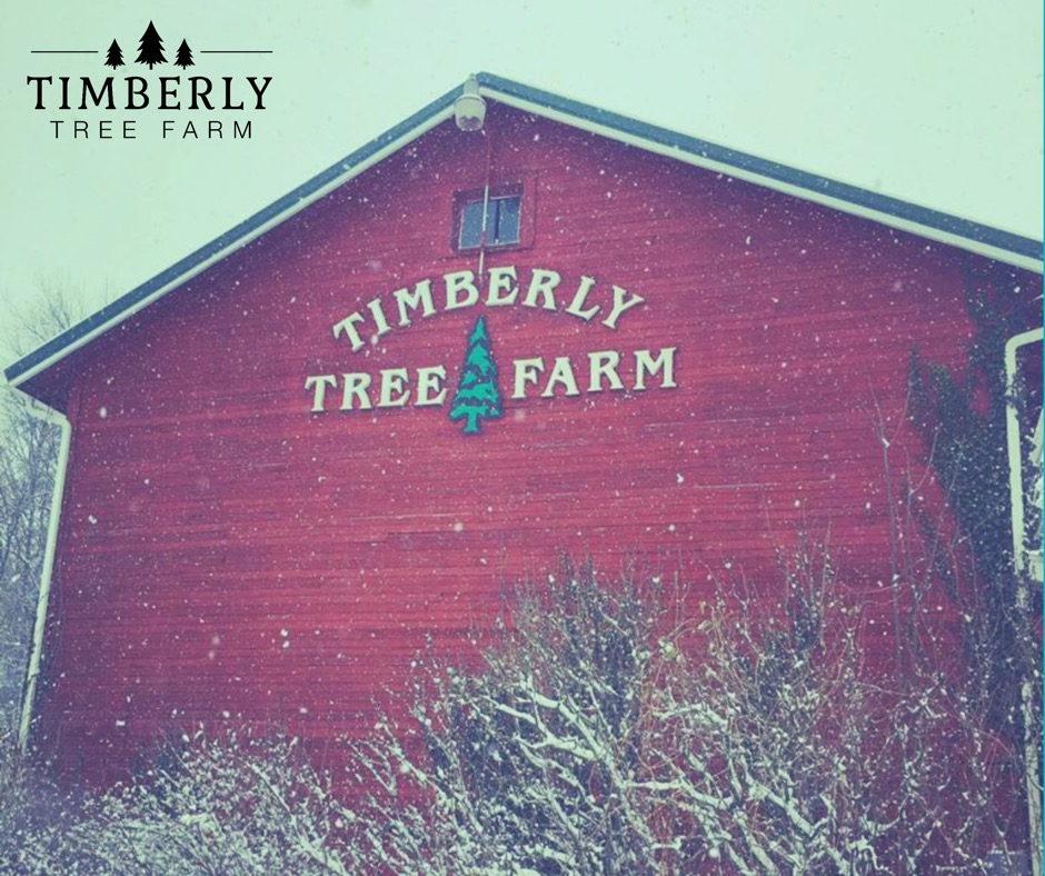 Timberly Tree Farm in Sturgis, Michigan