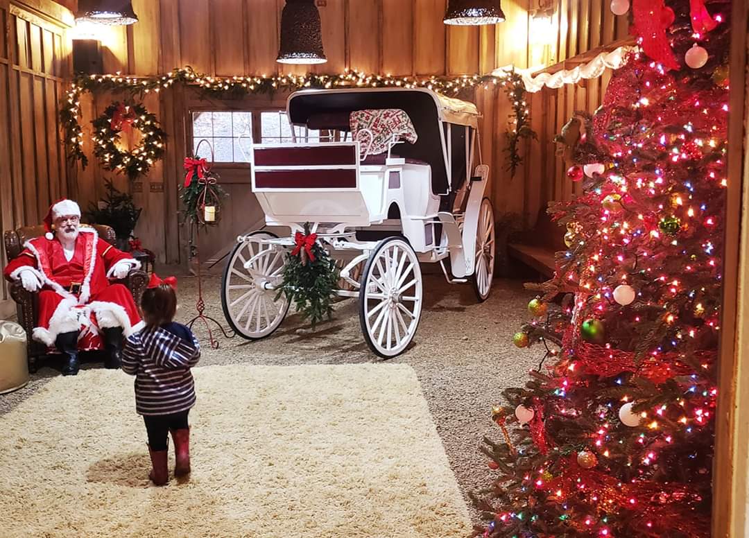 Tom Sawyer Christmas Tree Farm in Glenville, North Carolina