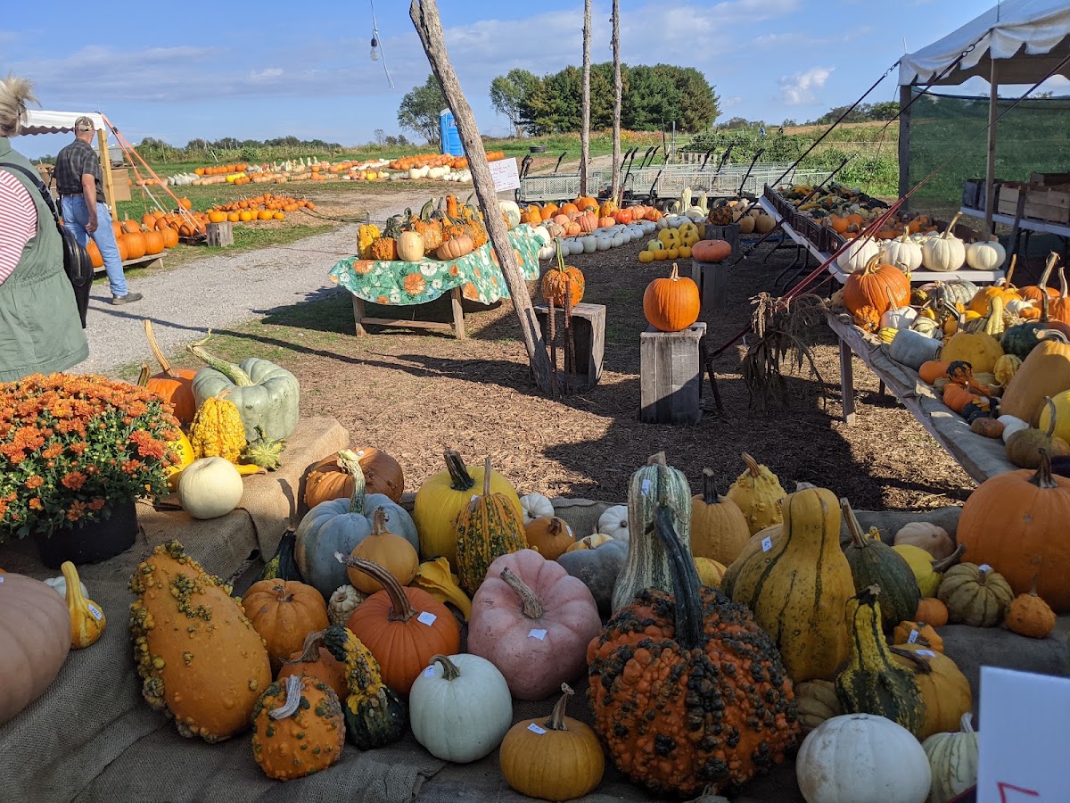 Town & Country Nursery in Kearneysville, West Virginia