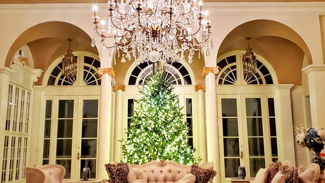 Tradition Trees (Little Five Points) in Atlanta, Georgia