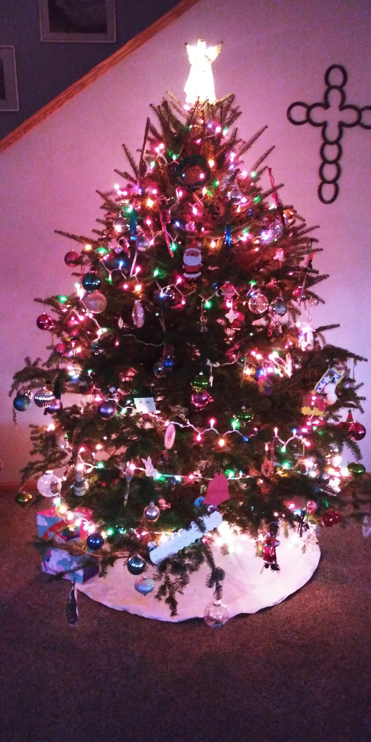 Traditions Tree Farm in Rochester, Indiana