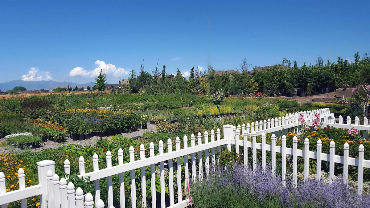 Tree Source in Pleasant Grove, Utah