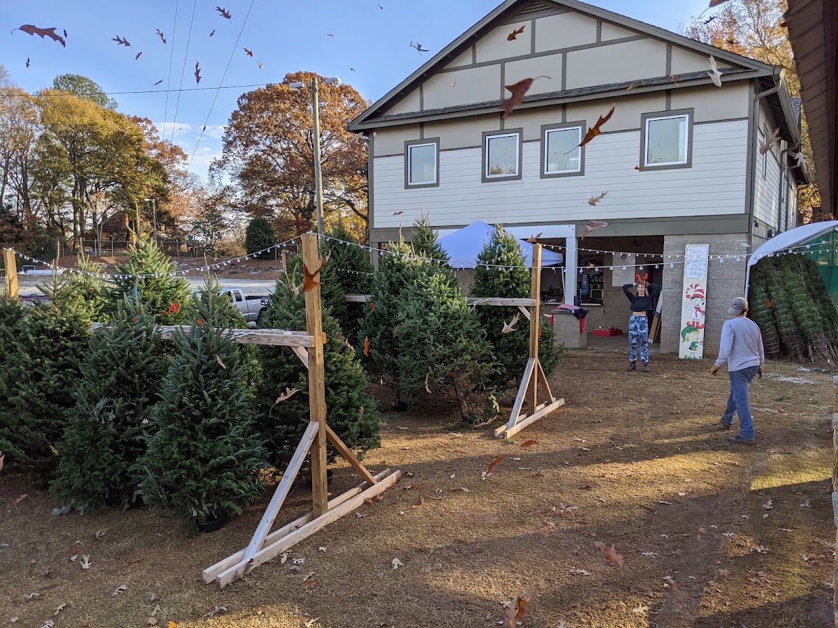 Trees for Tuition in Atlanta, Georgia