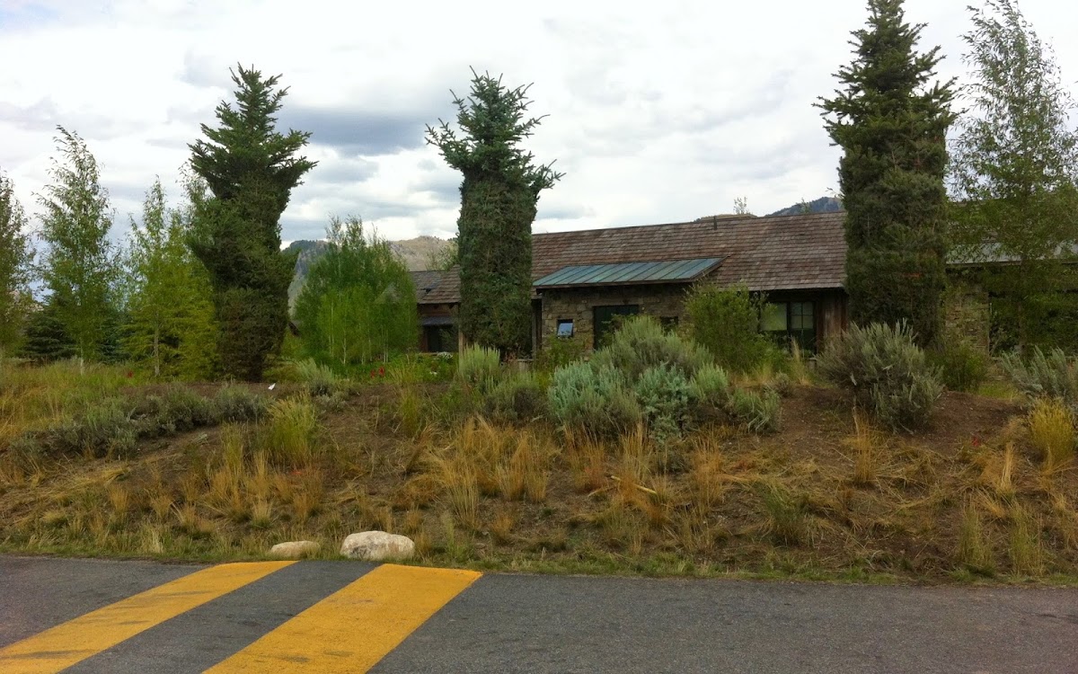 Trees Inc. in Jackson, Wyoming