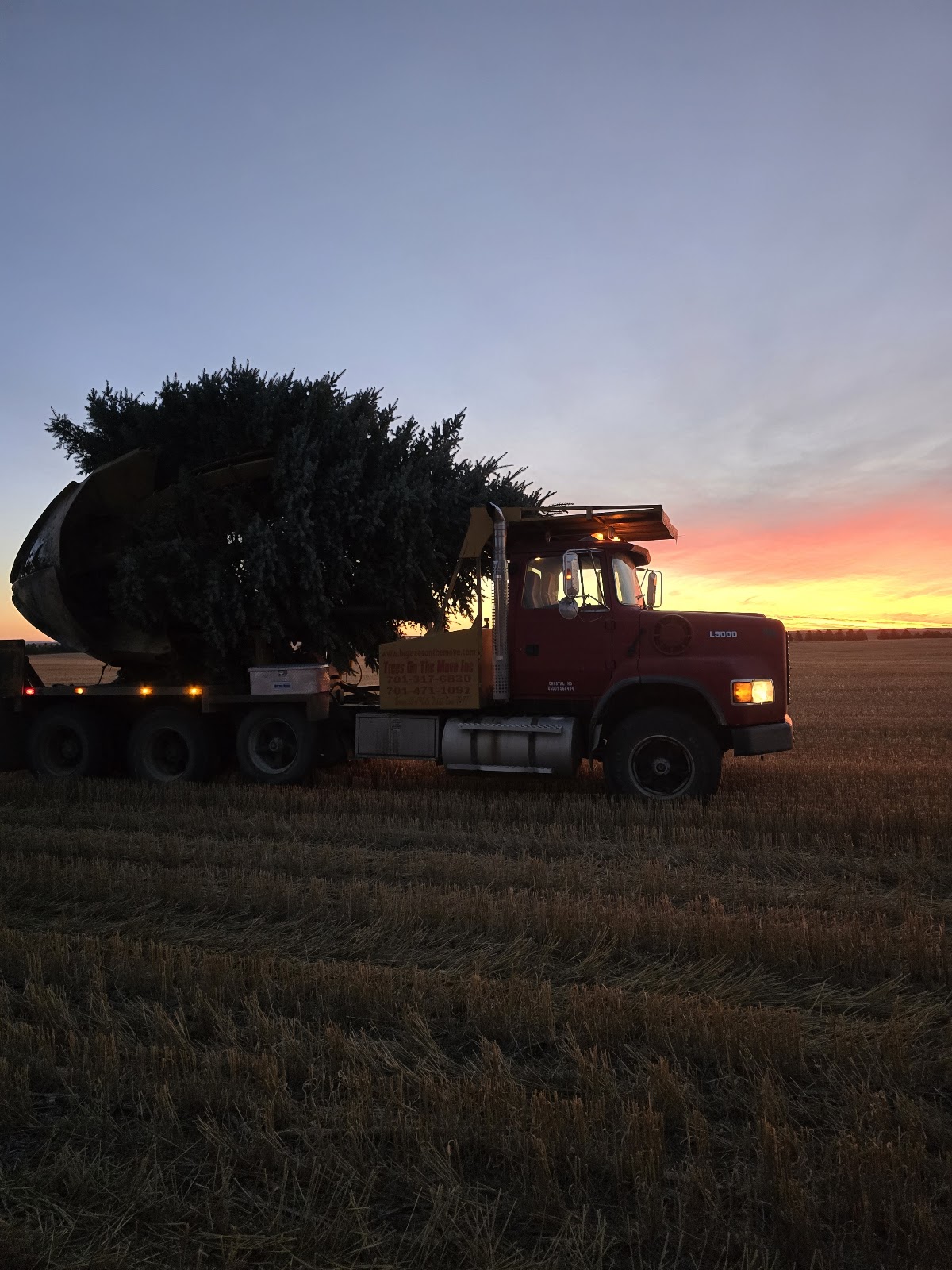 Trees On the Move Inc in Crystal, North Dakota