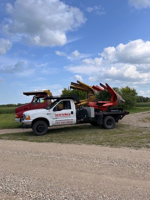 Trees On The Move Inc in Wilton, North Dakota