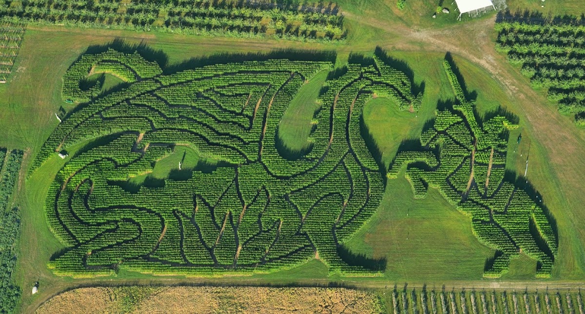 Treworgy Family Orchards in Levant, Maine