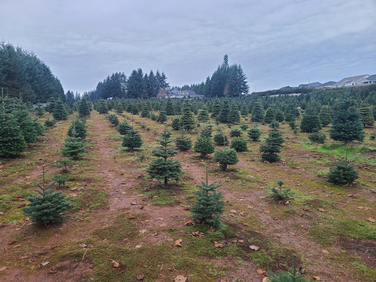 Tucker Tree Farm in Salem, Oregon