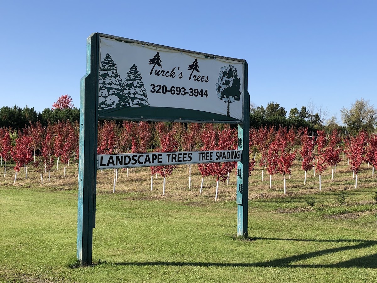 Turck’s Trees in Litchfield, Minnesota
