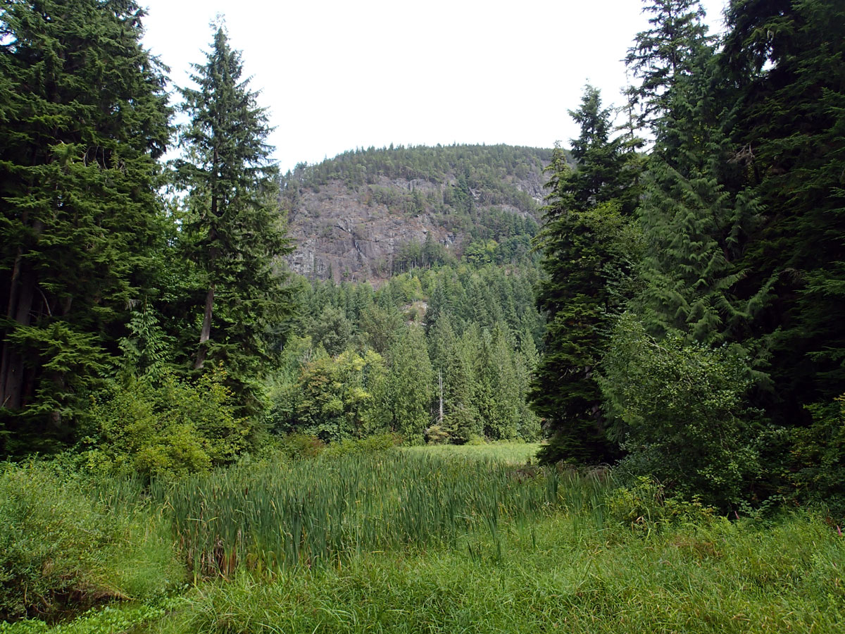 Valhalla Tree Farm in Arlington, Washington