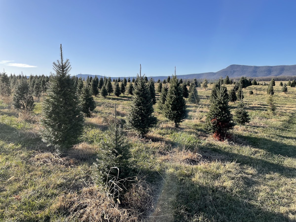 Valley Star Farm in Luray, Virginia