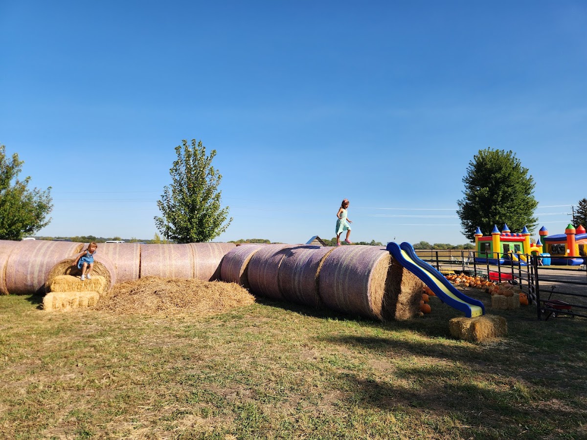 Valley Tree Farm in Belview, Minnesota