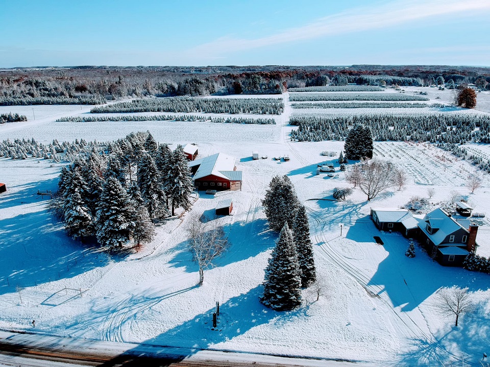 Vander Sys Tree Farm Nursery in Weidman, Michigan