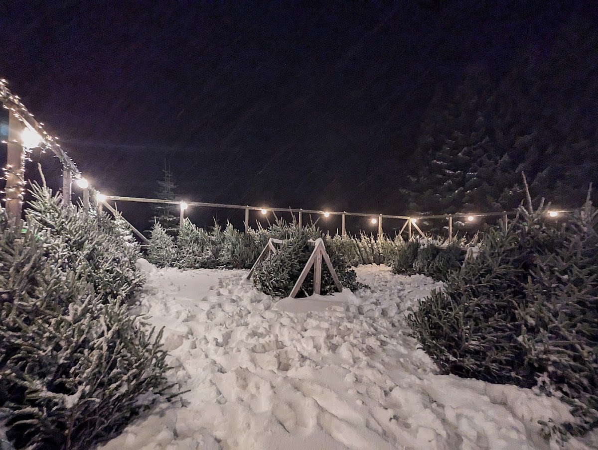 VanHouten Farm in Ellsworth, Michigan