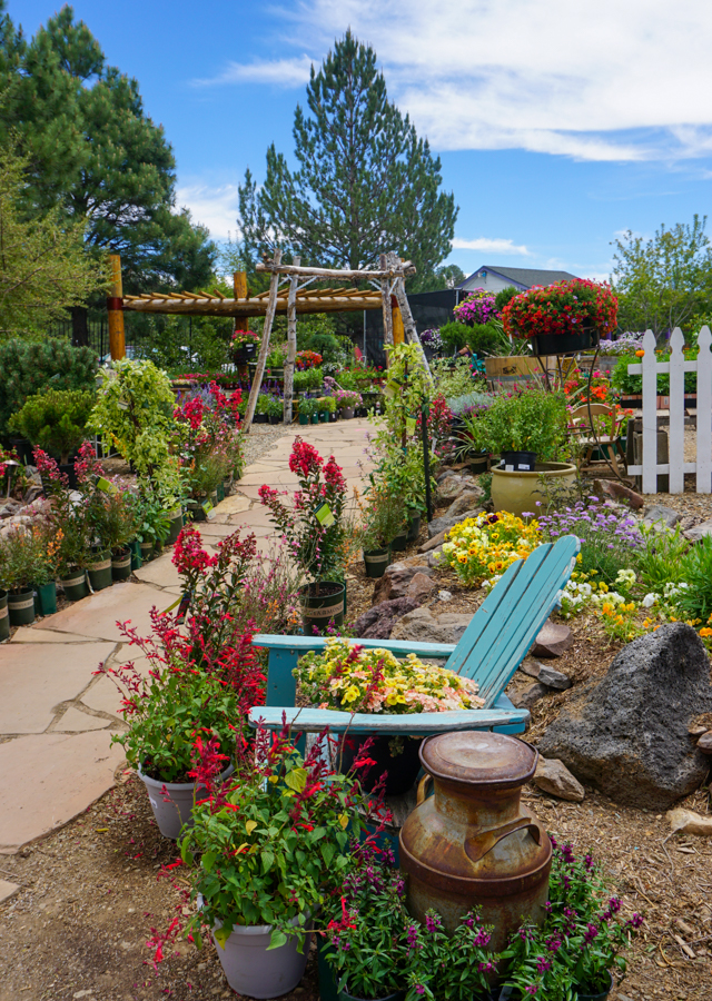 Viola's Flower Garden in Flagstaff, Arizona