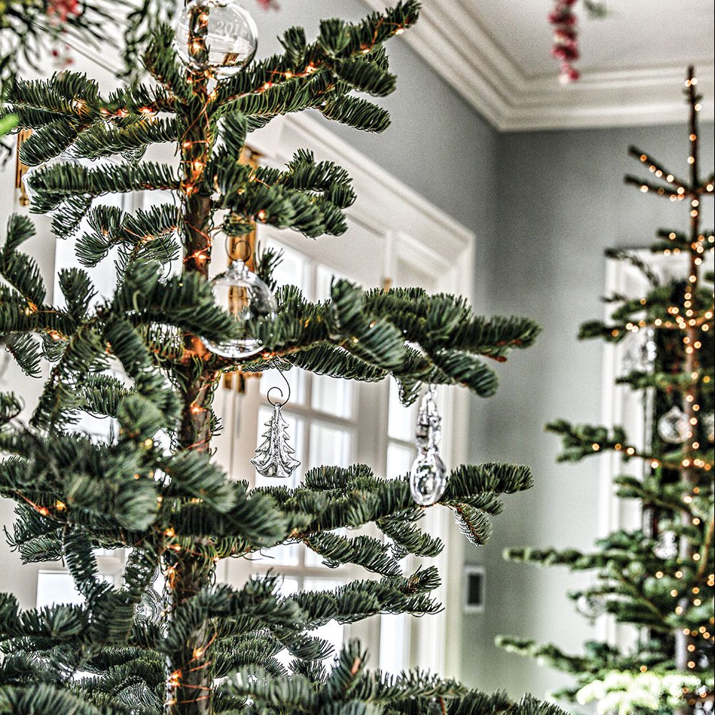 Wagner Christmas Trees in Scottsdale, Arizona