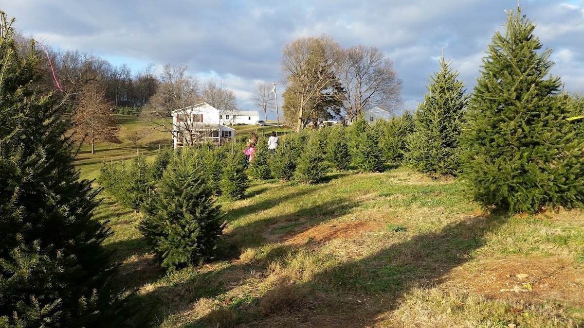Waller’s Christmas Tree Farm in Freeland, Maryland
