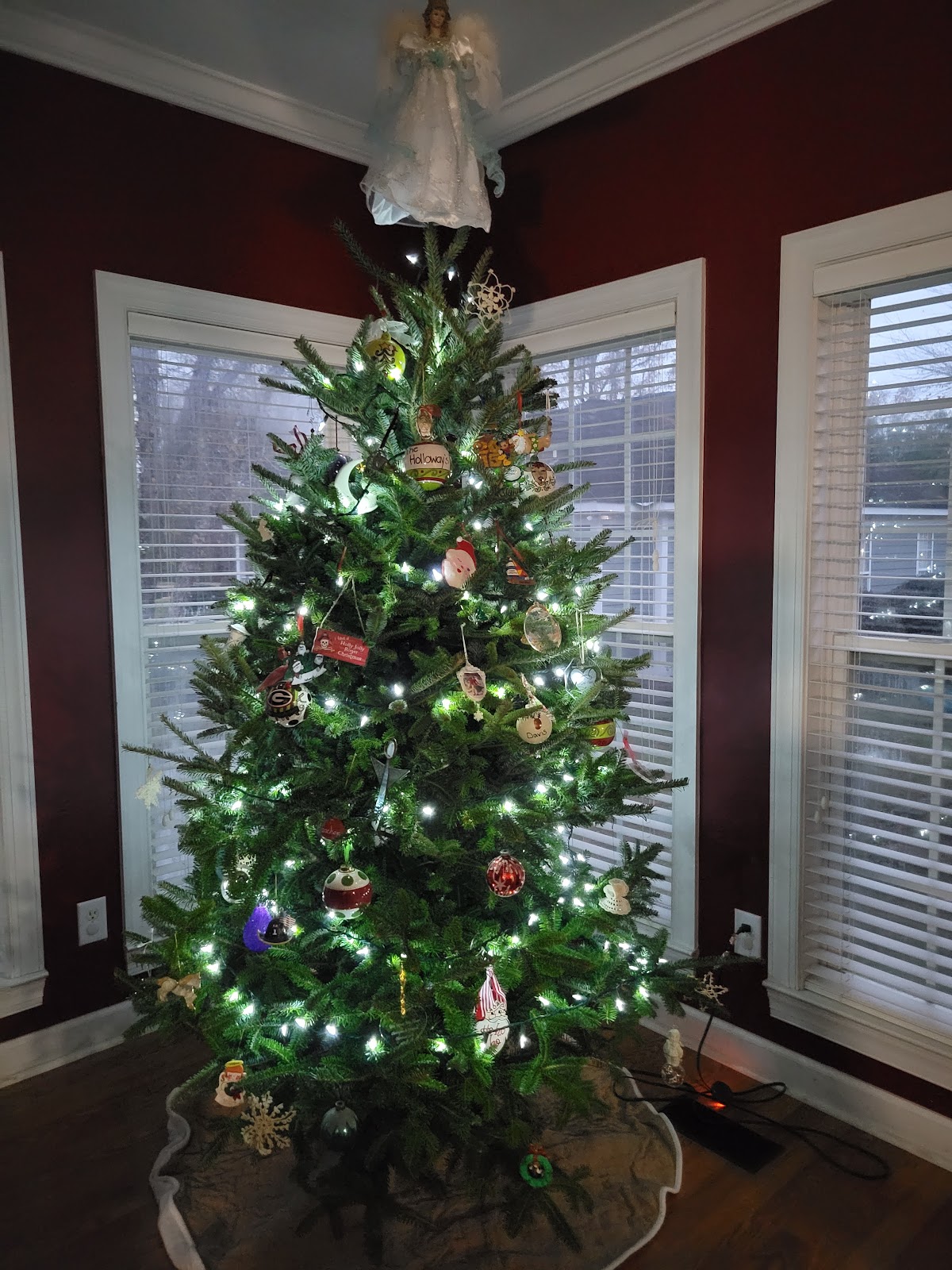 Watson's Christmas Tree Farm in Ellaville, Georgia