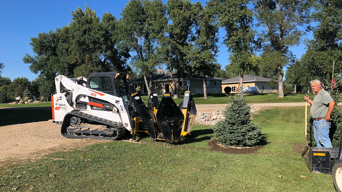 Wentz Trees in Bismarck, North Dakota