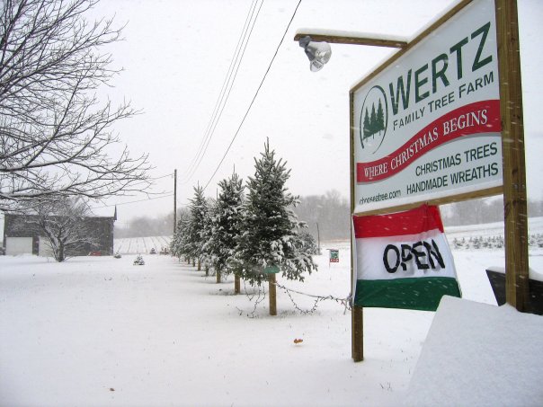 Wertz Tree Farm in Franklin, Ohio