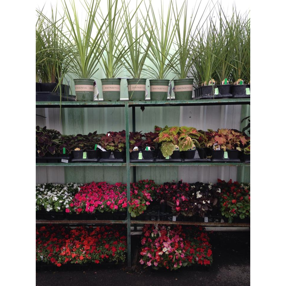 West Side Nursery in Murray, Utah