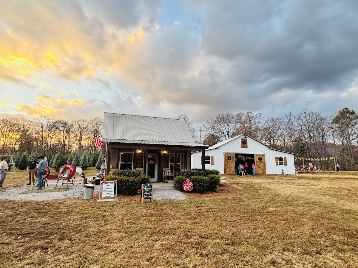 Wheeler’s Christmas Tree Farm in Tunnel Hill, Georgia