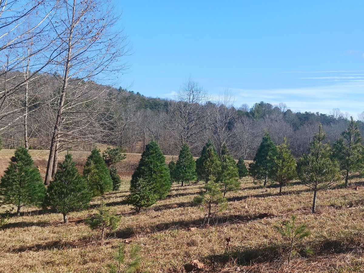 White Horse Farm, LLC in Callaway, Virginia
