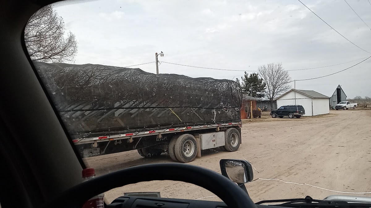 Whitetail Landscape Tree Farm in Pauls Valley, Oklahoma