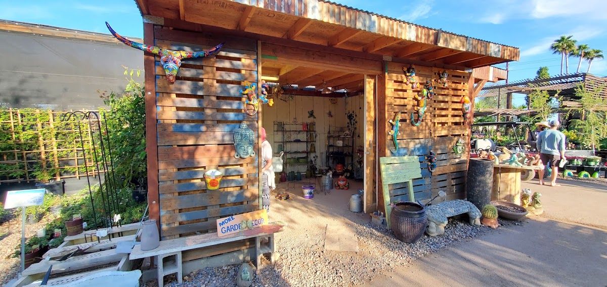 Whitfill Nursery in Gilbert, Arizona