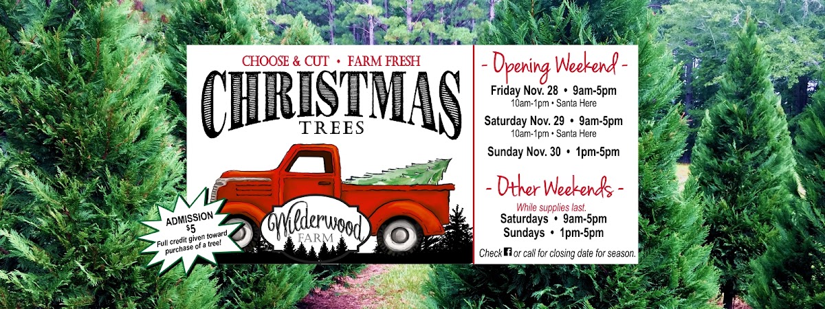 Wilderwood Christmas Tree Farm in Ralph, Alabama