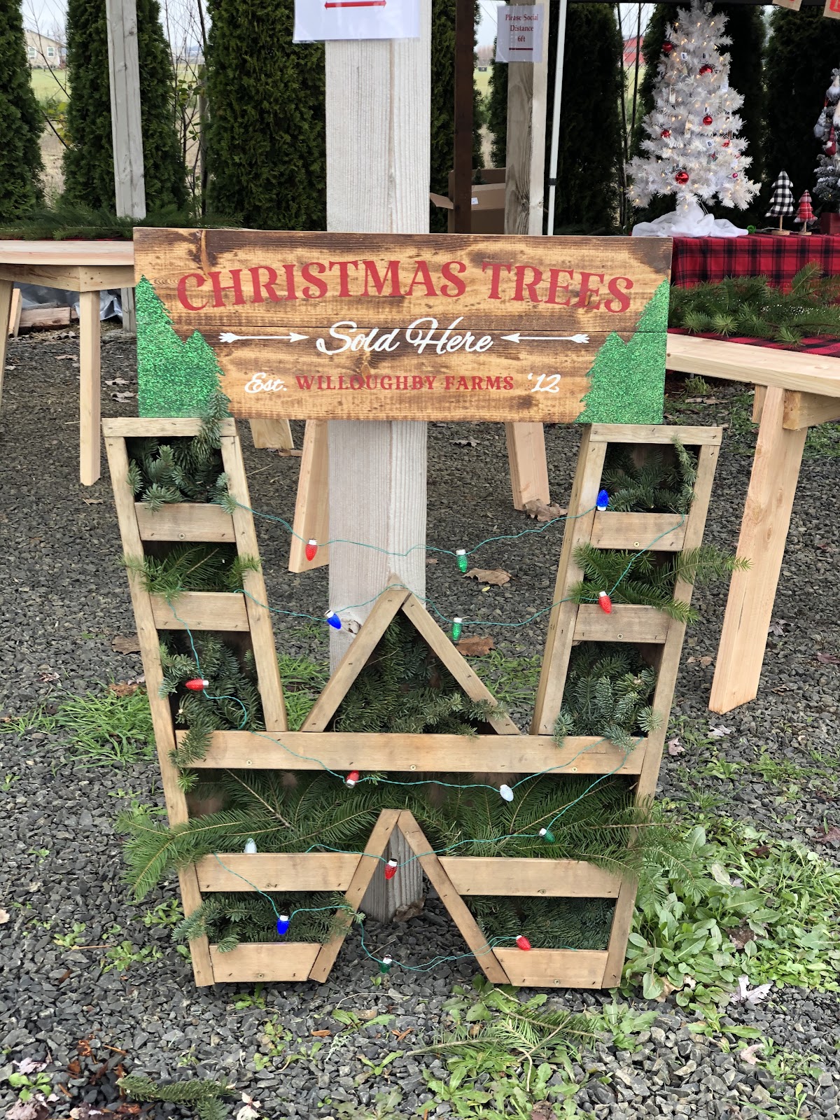 Willoughby Christmas Tree Farm in Junction City, Oregon