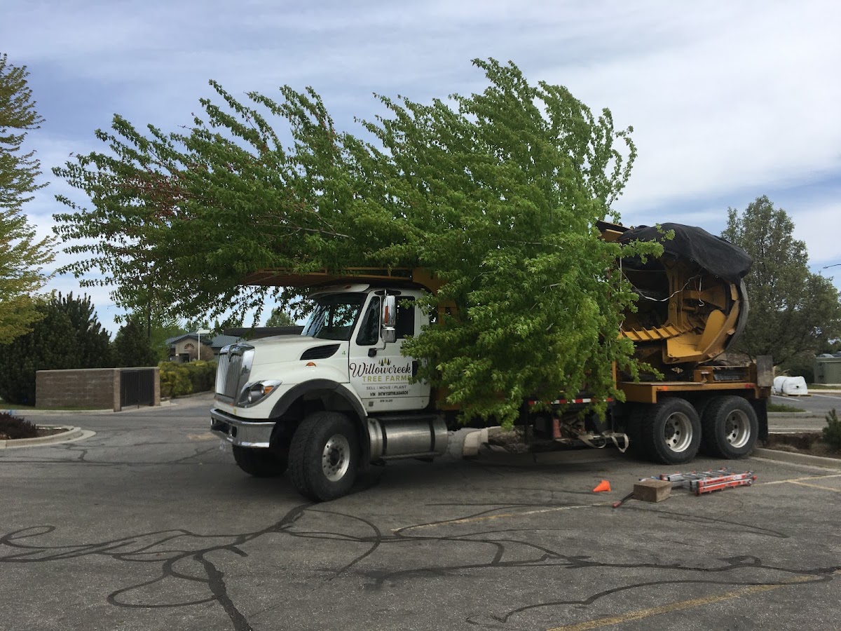 Willowcreek Tree Farm in Draper, Utah