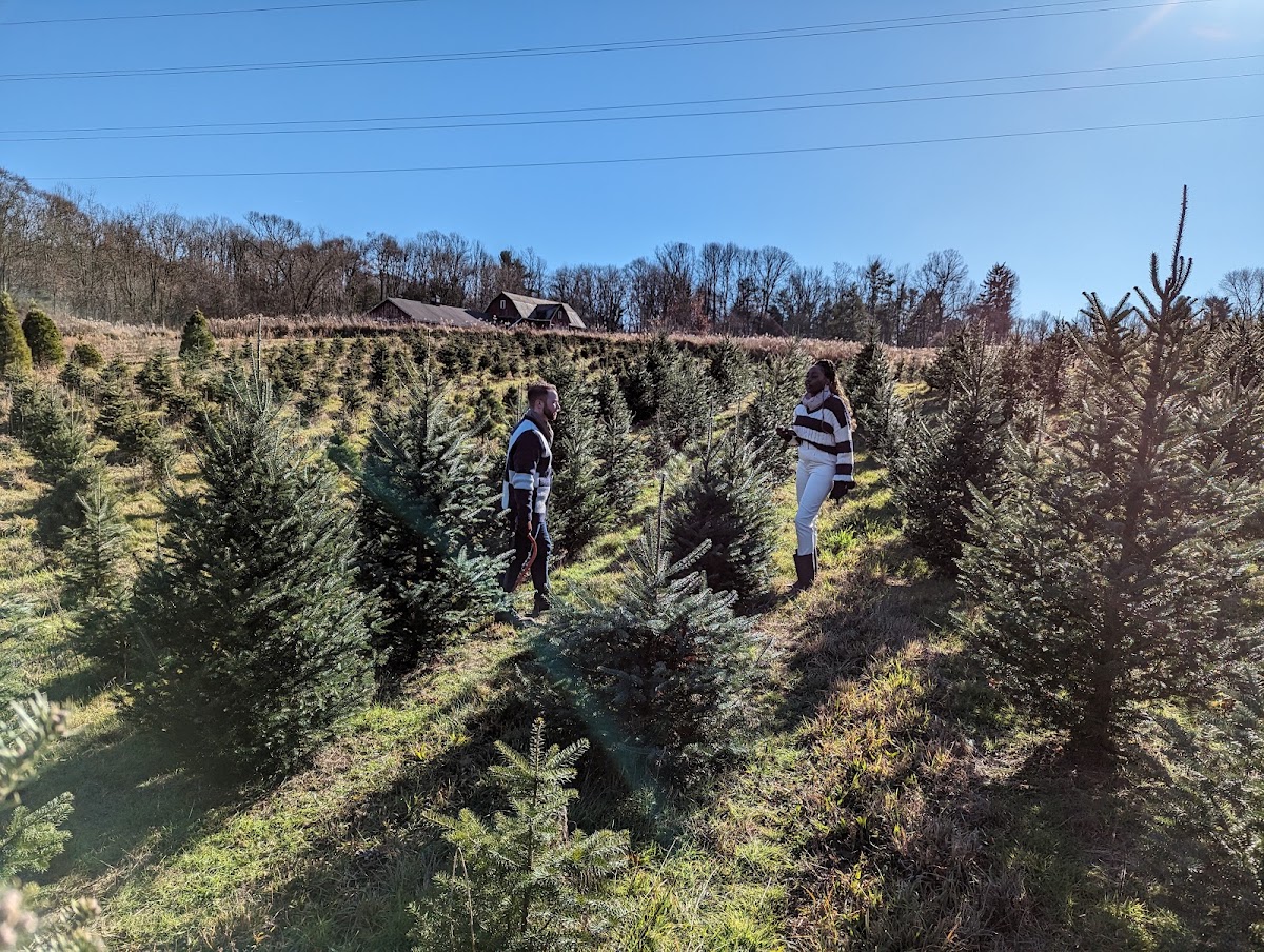 Windy Hill Tree Farm in Massillon, Ohio