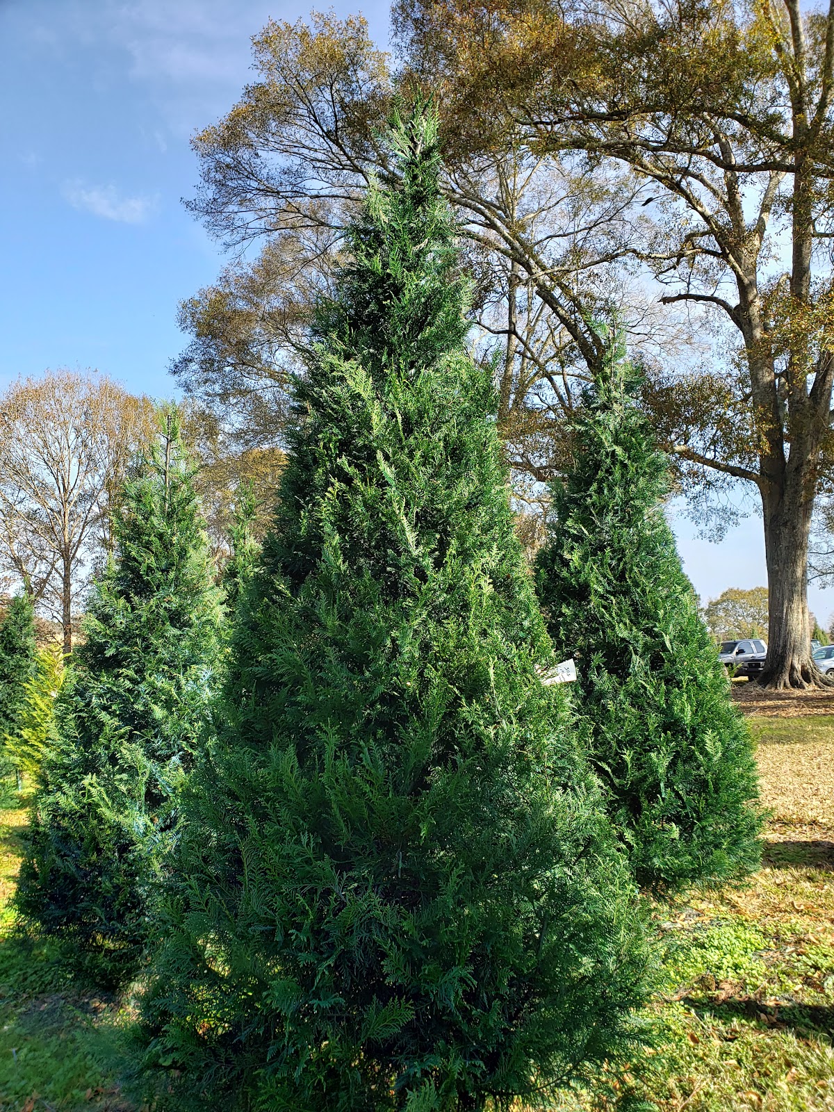 Windy Hills Farm in Ethel, Louisiana