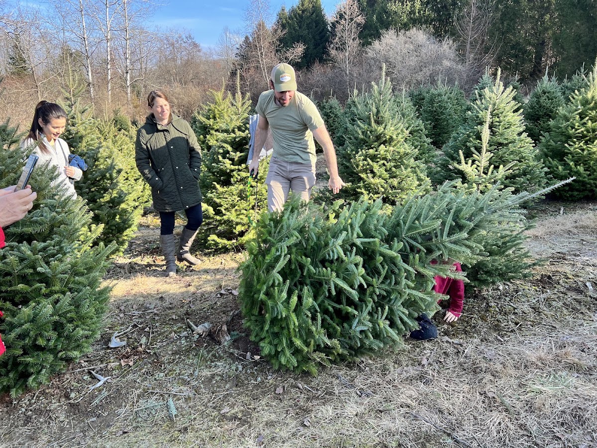 Wintergreen Farm in Lafayette Township, New Jersey