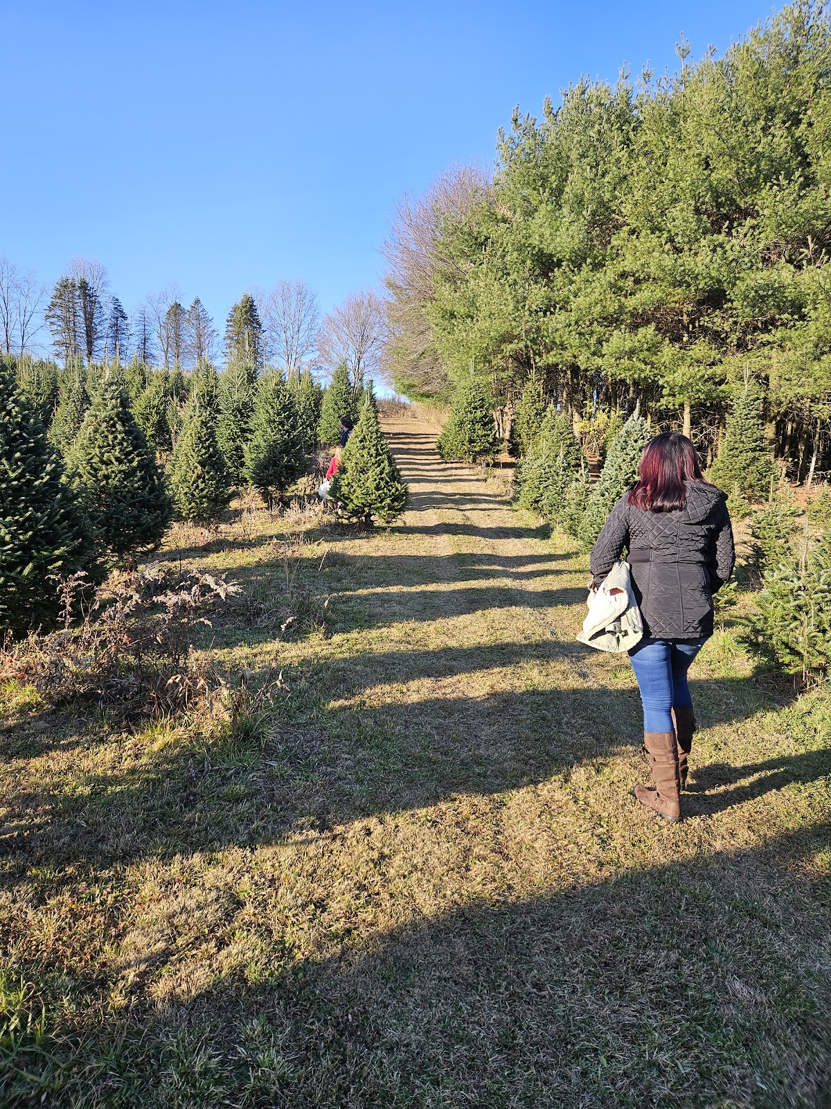 Woffords Christmas Tree Farm in Rural Valley, Pennsylvania