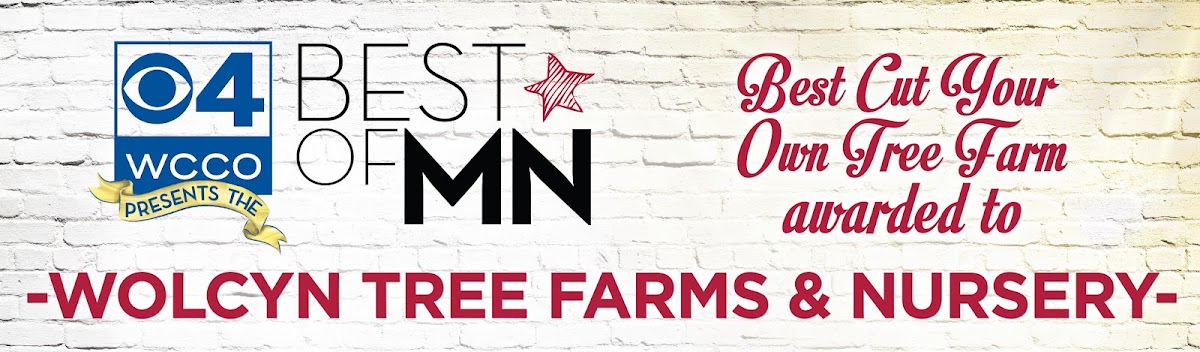 Wolcyn Tree Farms & Nursery in Cambridge, Minnesota