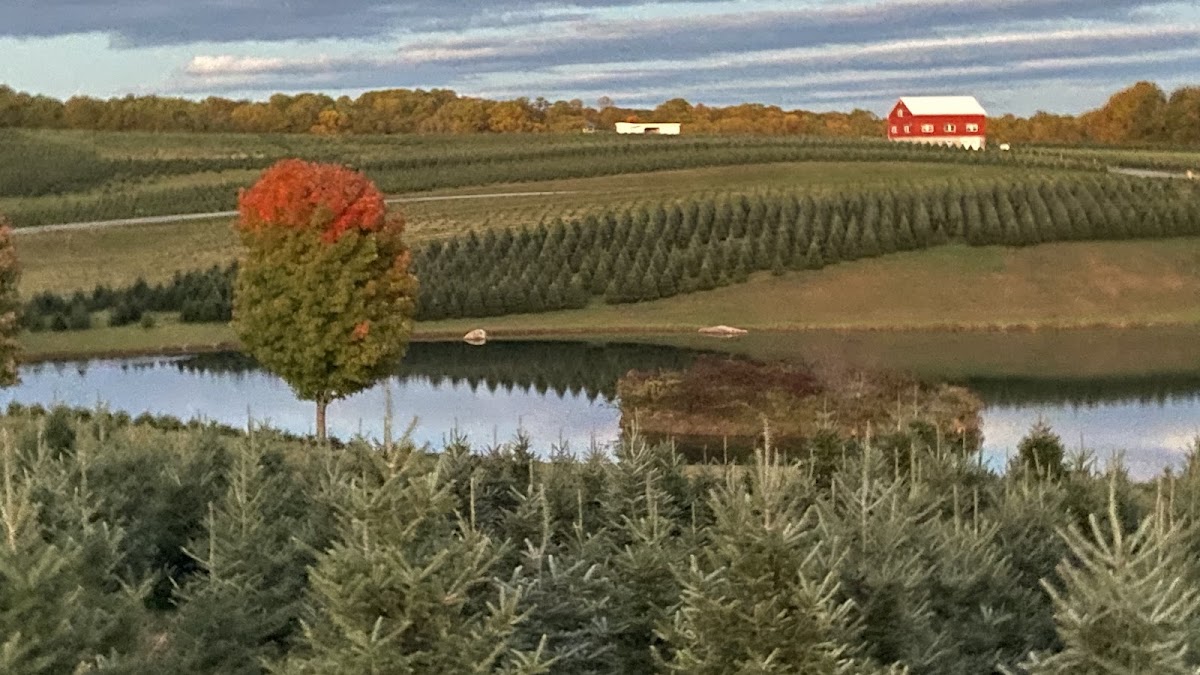 Wolfe’s PIne Valley Farms, LLC (Sykesville Md) in Sykesville, Maryland